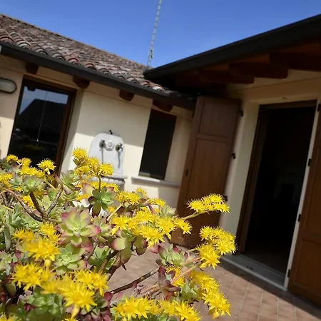 Bed & Breakfast 9 Muse 4*
